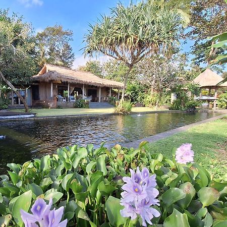 Bali Beach Eco Villas Pondok Matekap Selemadeg  Exterior photo