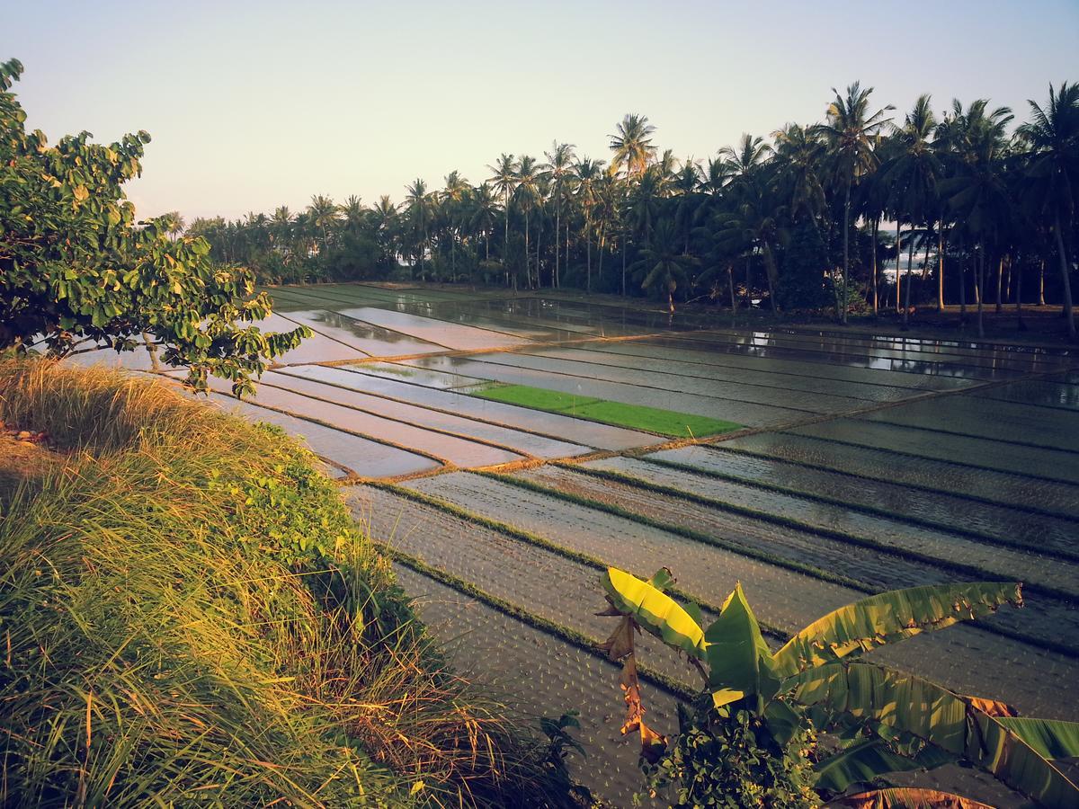 Bali Beach Eco Villas Pondok Matekap Selemadeg  Exterior photo