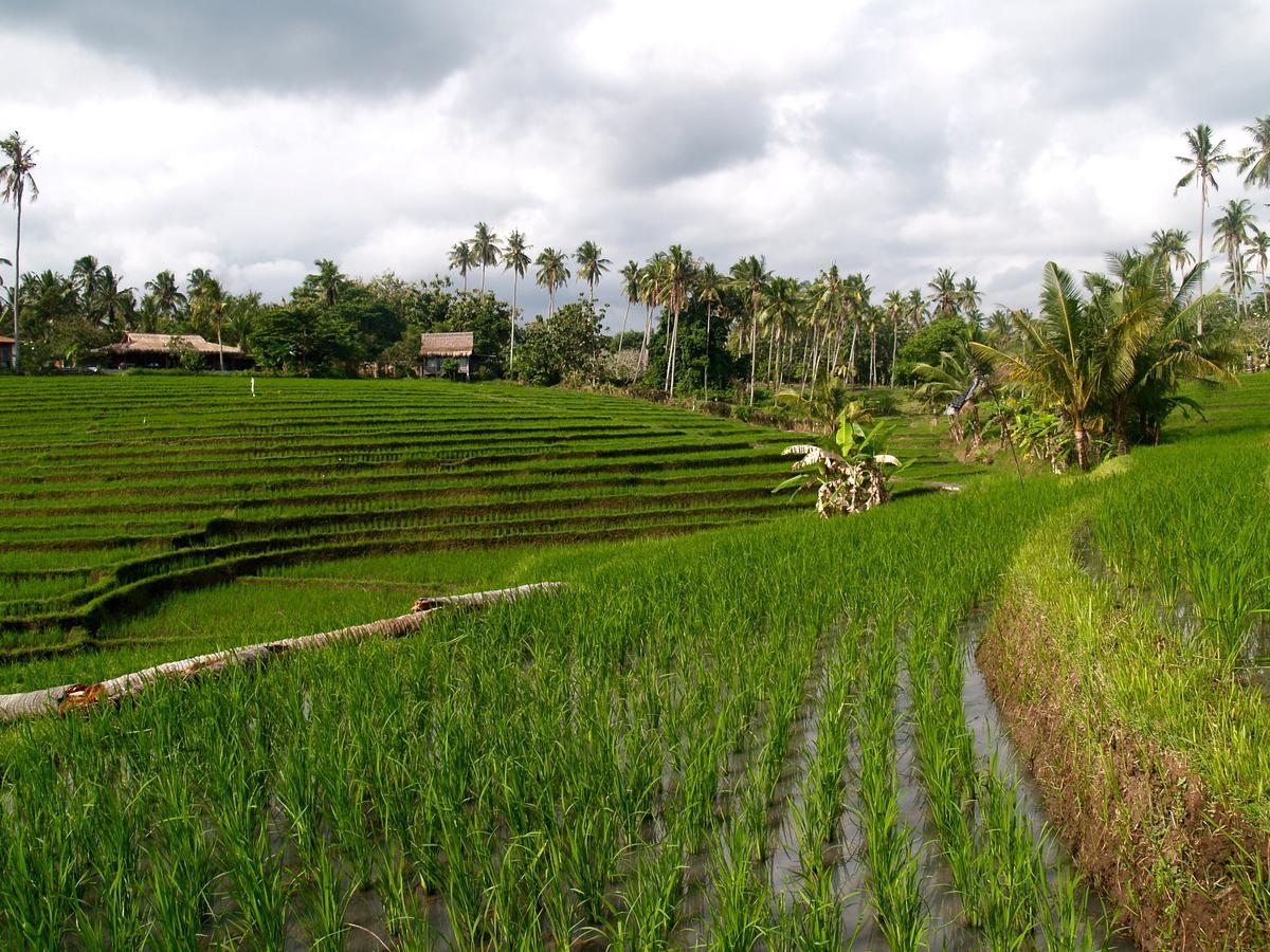Bali Beach Eco Villas Pondok Matekap Selemadeg  Exterior photo
