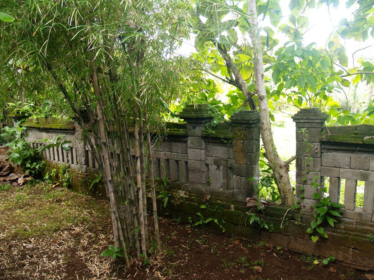Bali Beach Eco Villas Pondok Matekap Selemadeg  Exterior photo