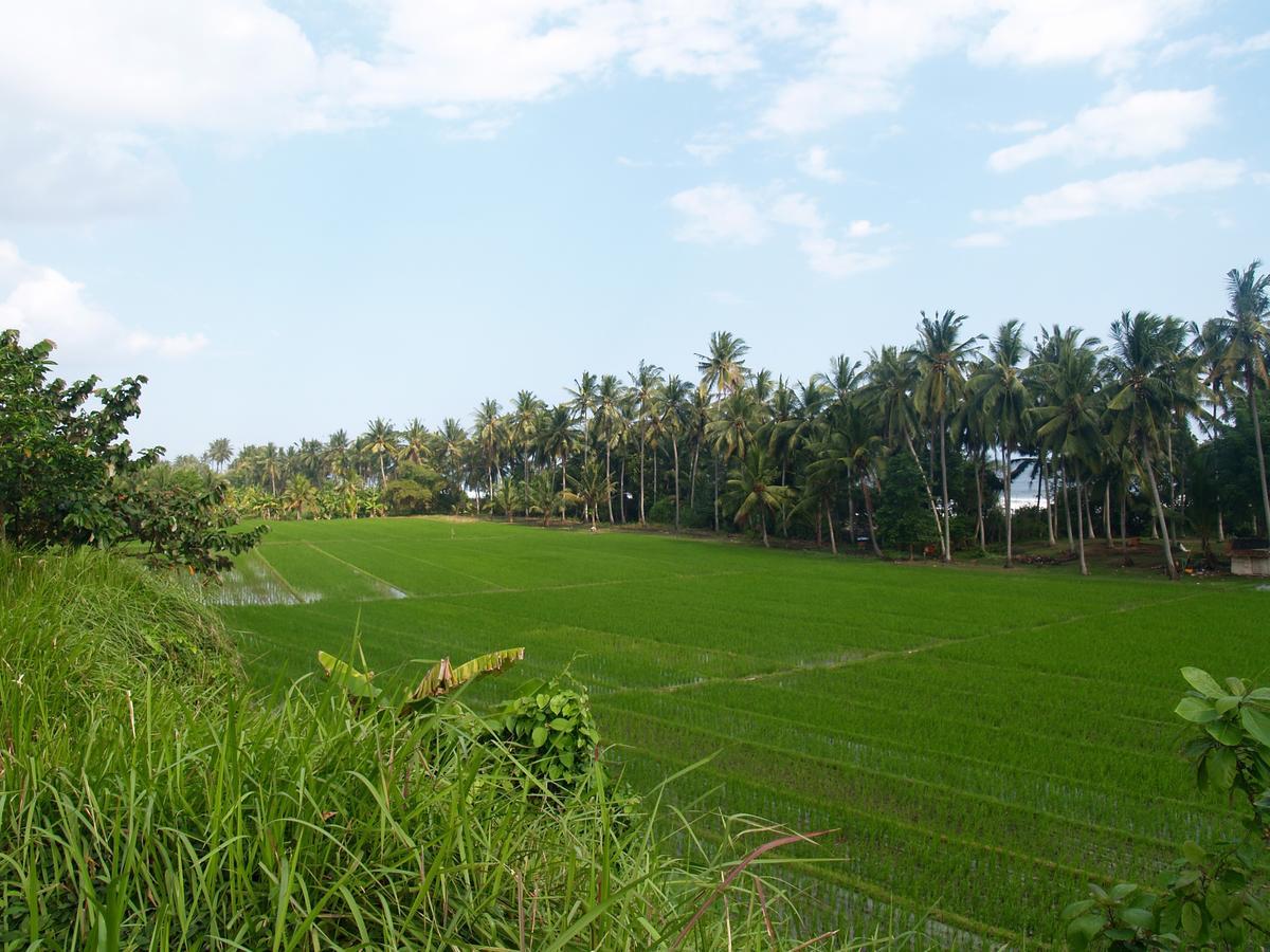 Bali Beach Eco Villas Pondok Matekap Selemadeg  Exterior photo