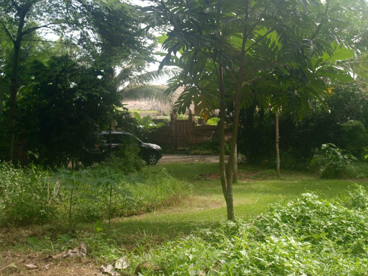 Bali Beach Eco Villas Pondok Matekap Selemadeg  Exterior photo